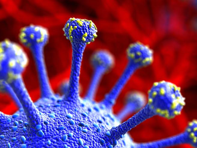 Coronavirus, la parola alla scienza - Corriere.it